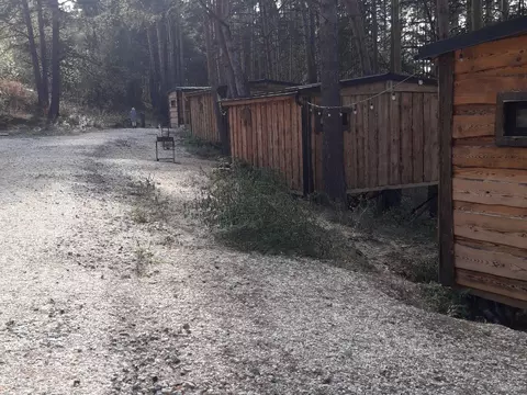 Обработка от муравьёв в загородном отеле
